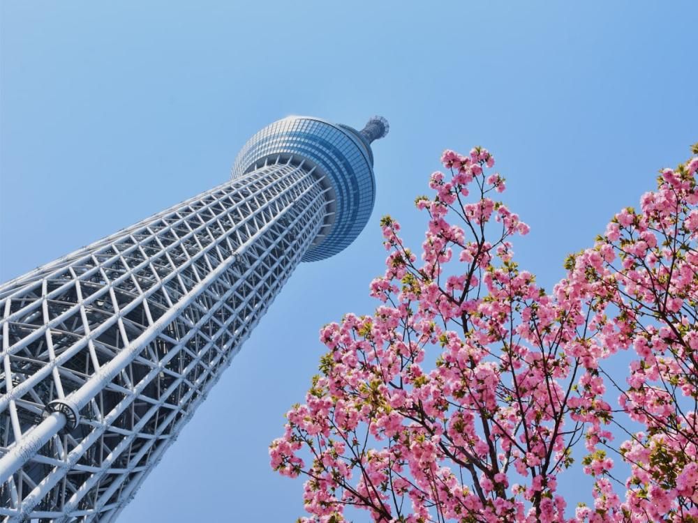 IoT in telecom:
use cases, examples & technologies