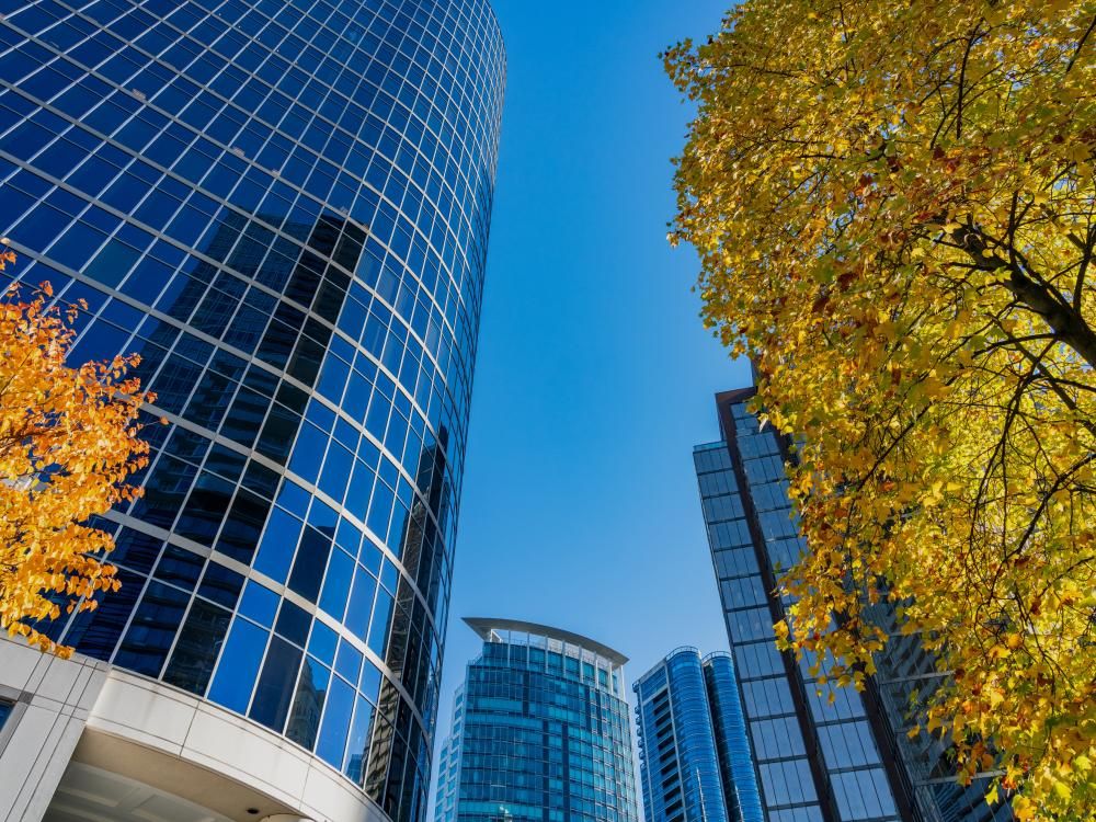 Salesforce for manufacturing:
functionality, case studies & payoffs