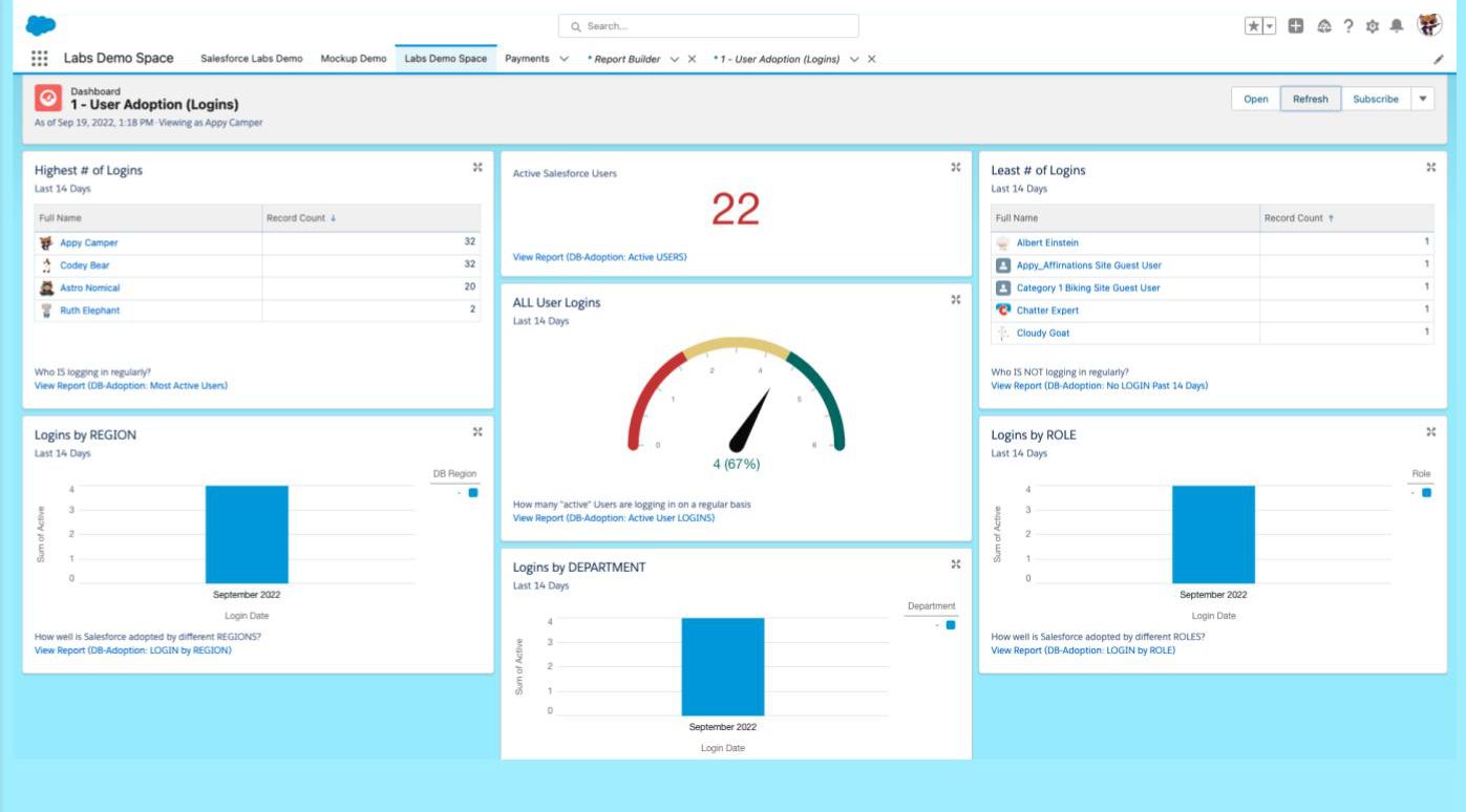 Measure the results of Salesforce adoption