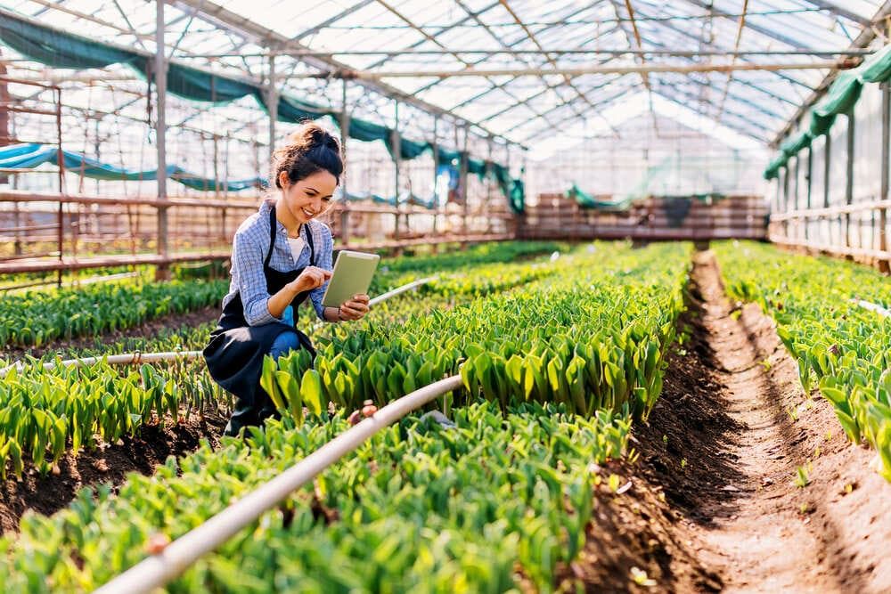 Agriculture